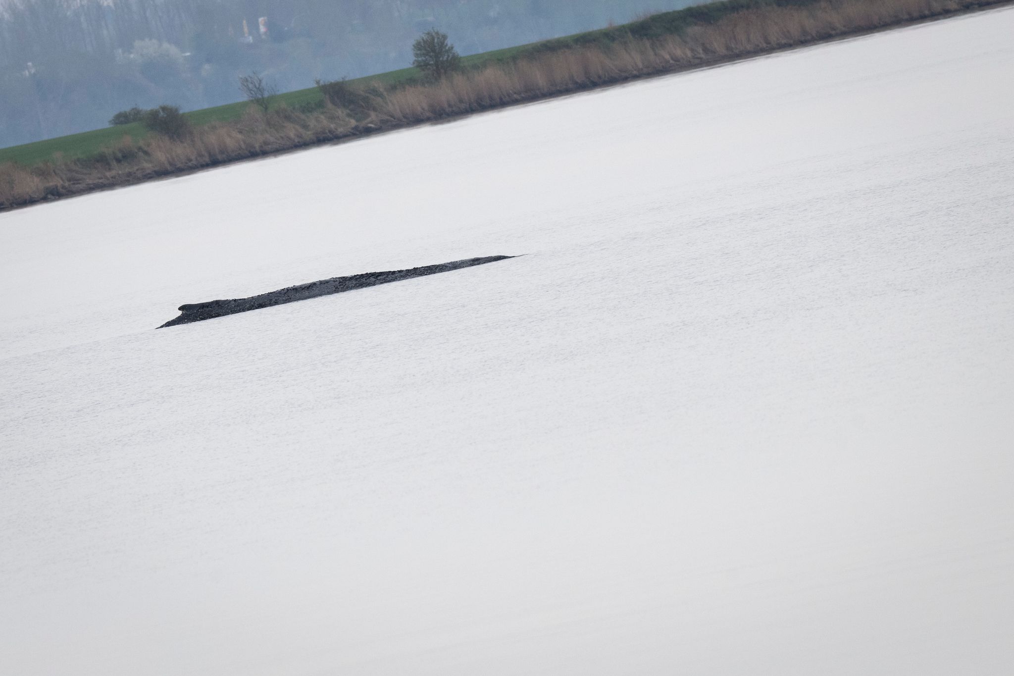 Foto: Philip Dulian/dpa