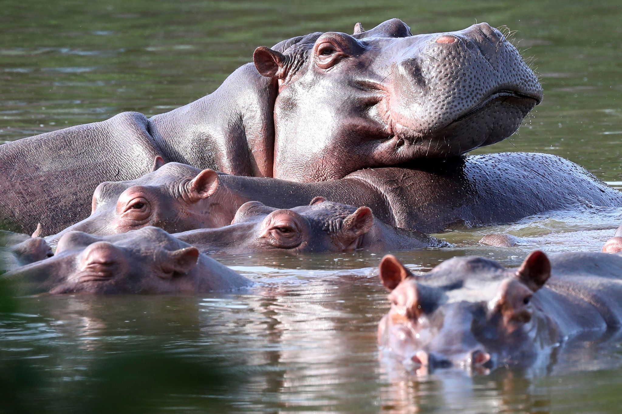 Foto: Fernando Vergara/AP/dpa