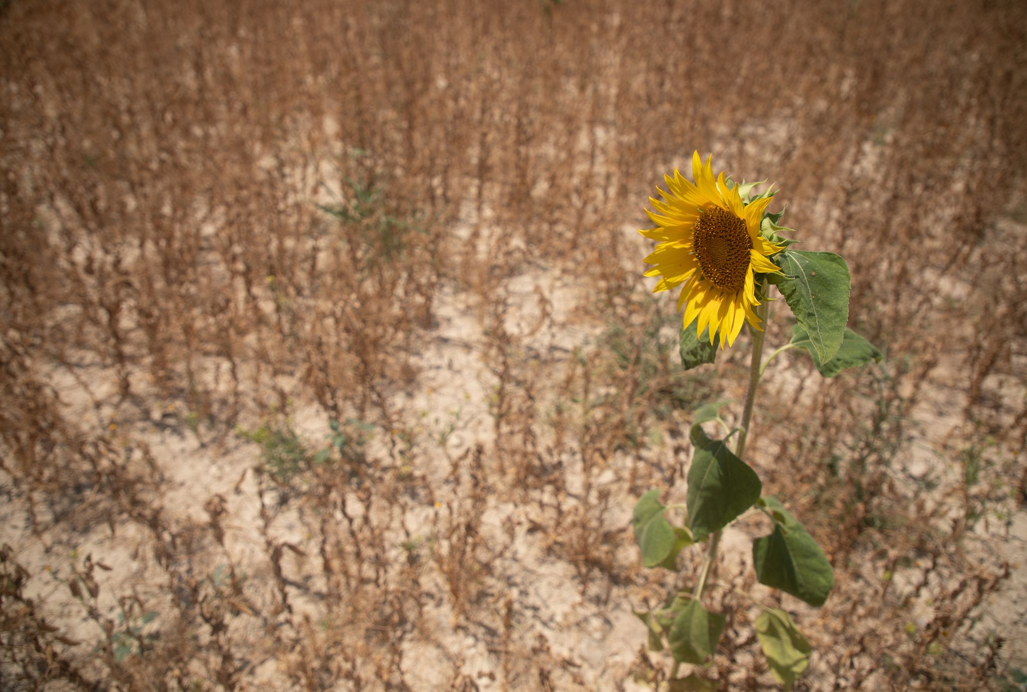 Foto: Clara Margais/dpa