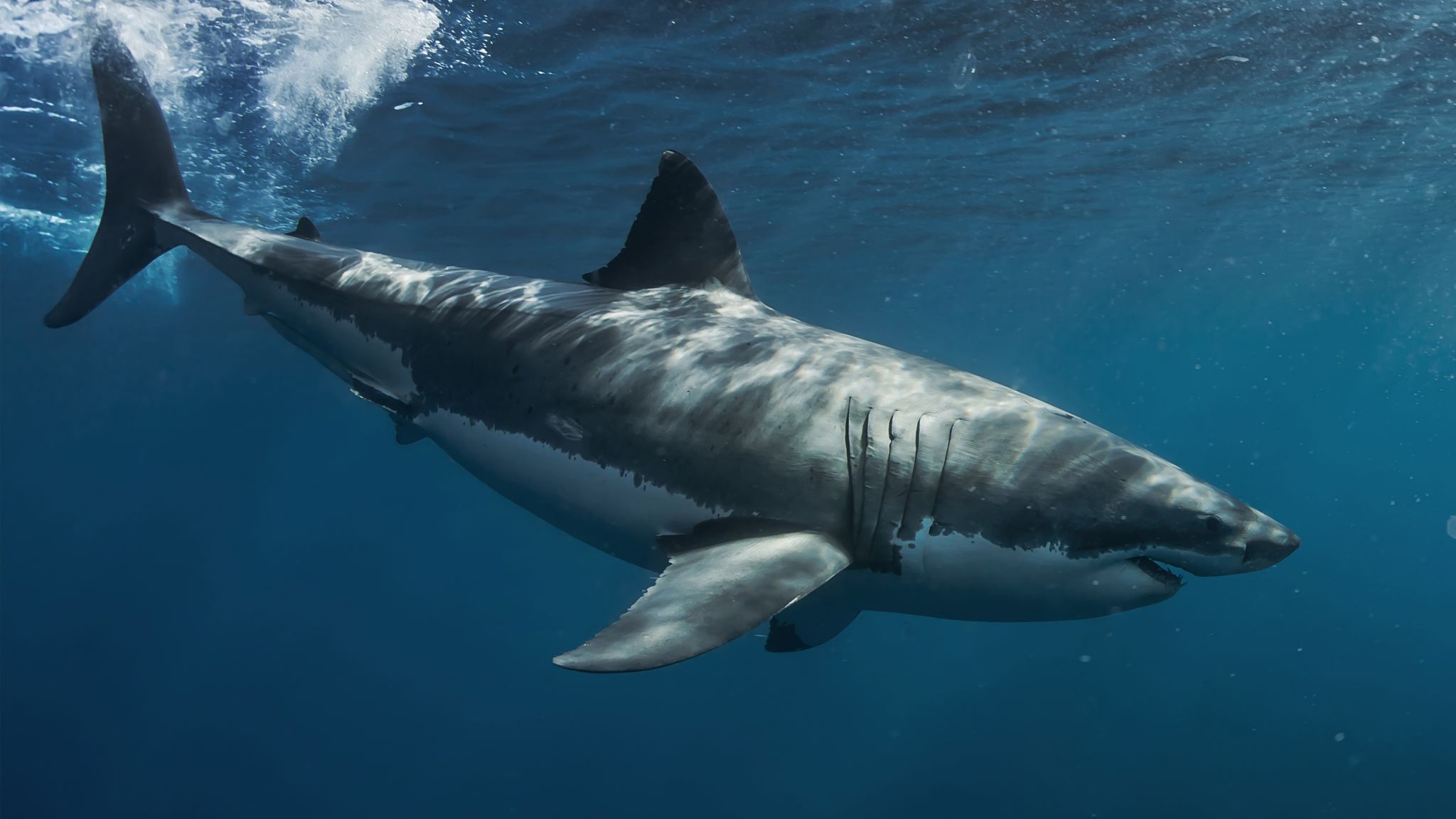 © Foto: Will Falcon / shutterstock.com / Symbolbild