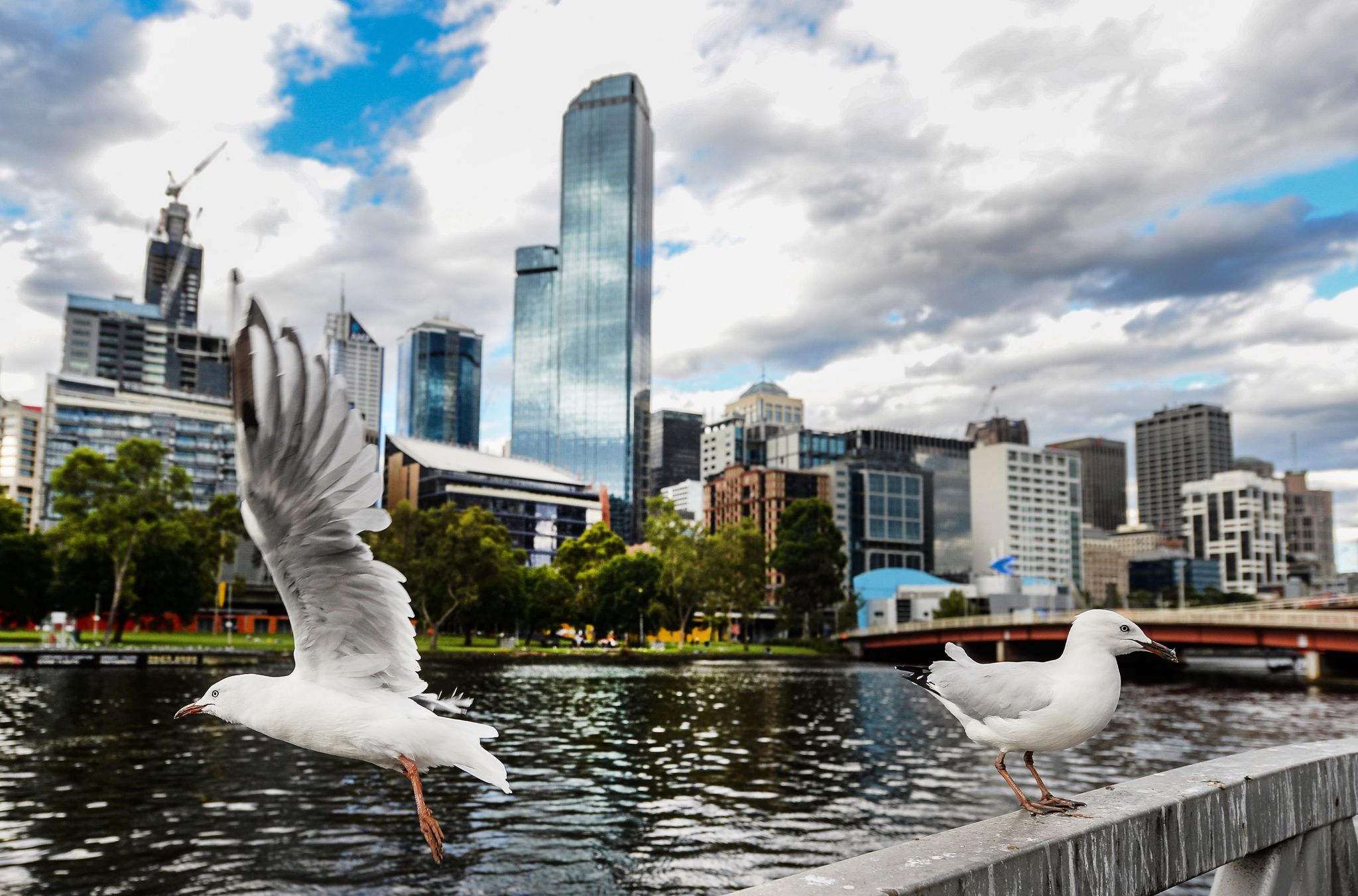 Melbourne © Foto: picture alliance / Filip Singer/EPA/dpa