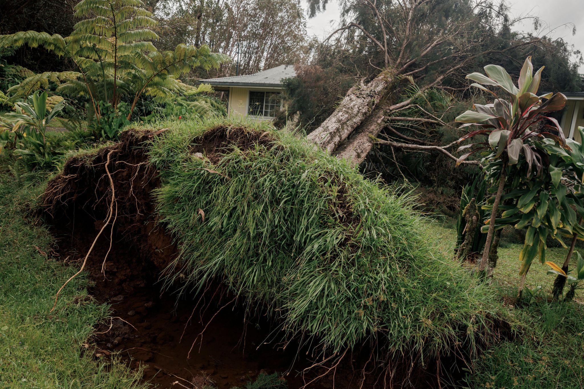 Hurrikan «Lala» - Hawaii © Foto: Stephen Lam/San Francisco Chronicle via AP/dpa