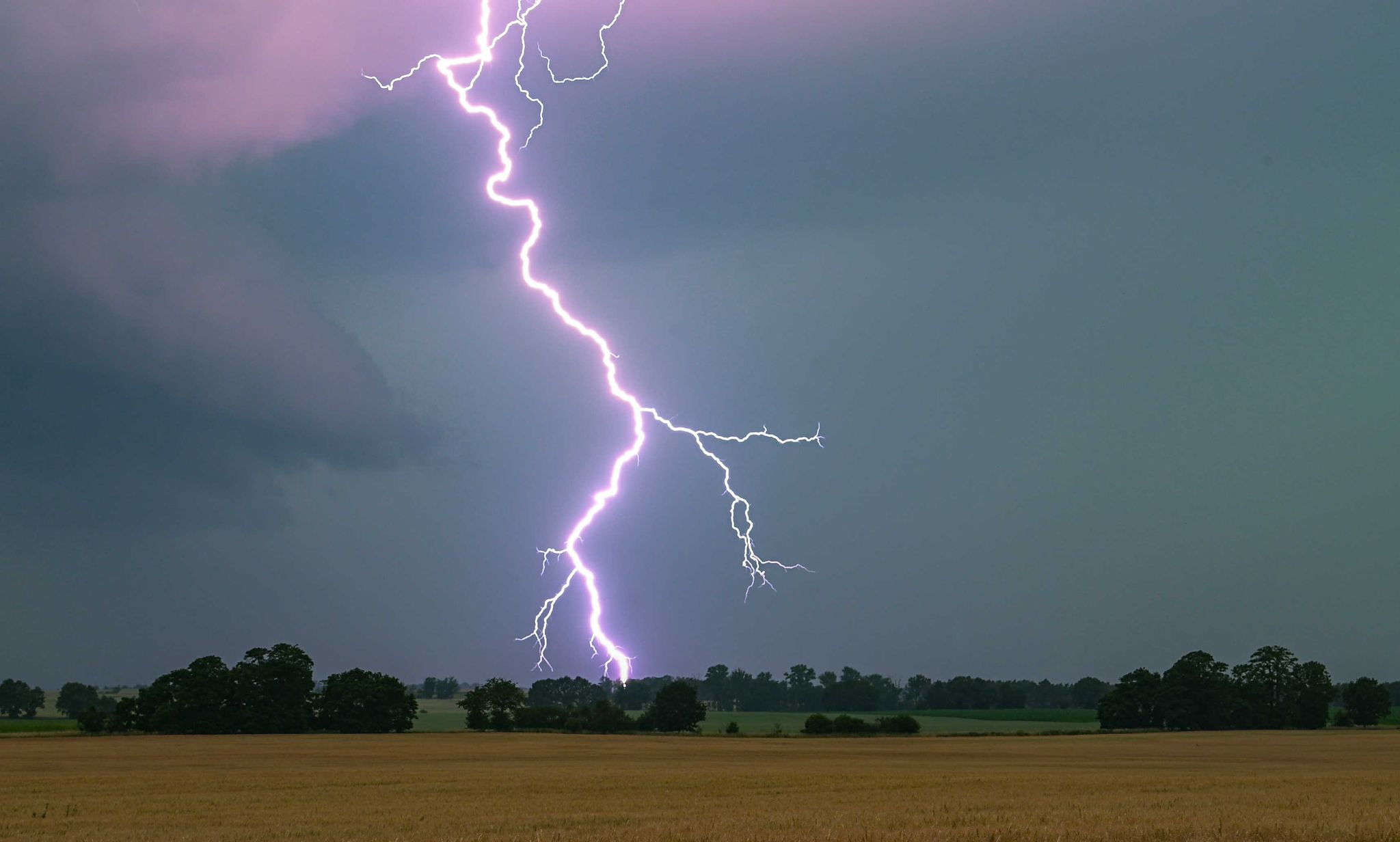Wetter © Foto: Patrick Pleul/dpa