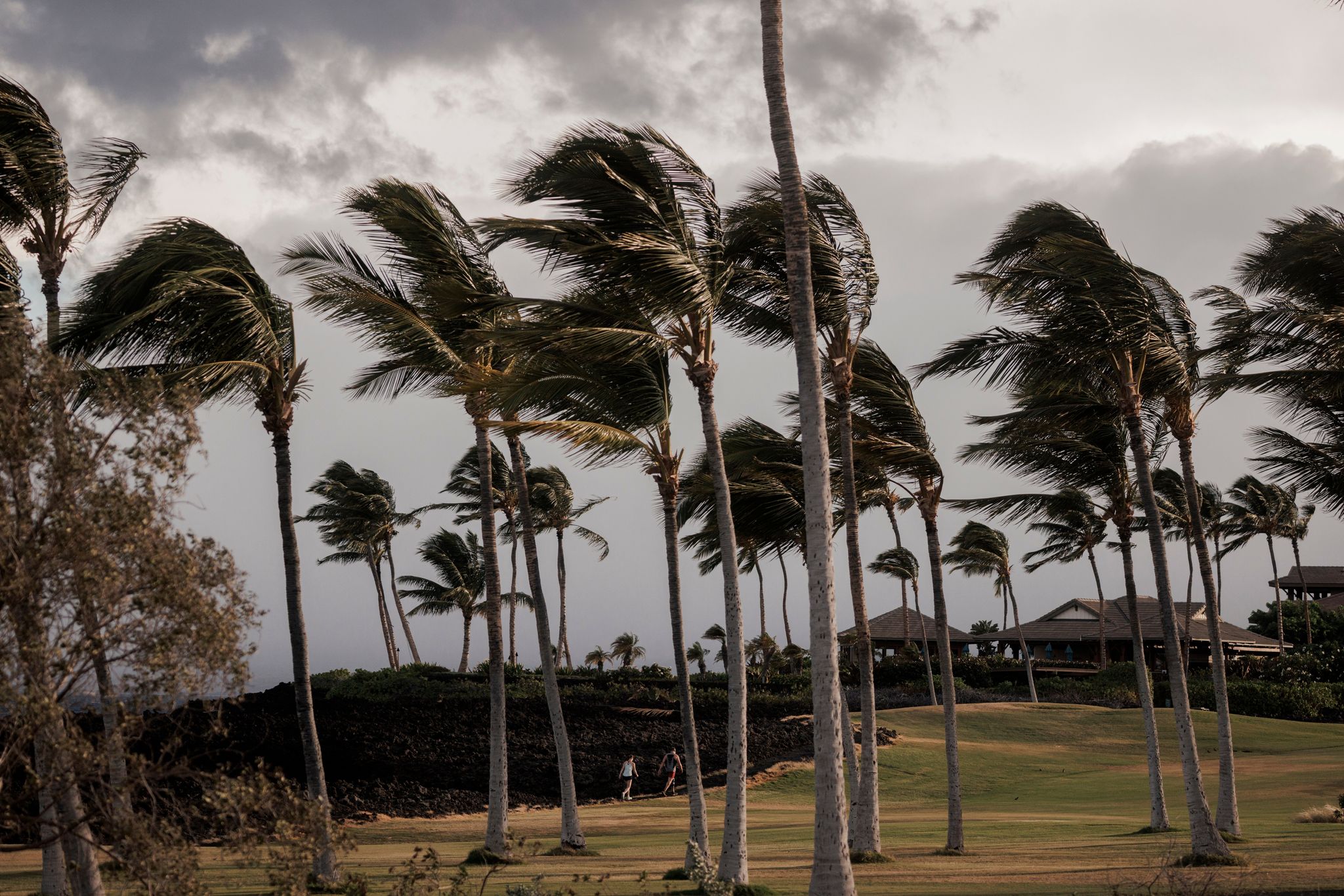 Hurrikanwarnung auf Hawaii: Sturm «Lala» nähert sich © Foto: Stephen Lam/San Francisco Chronicle/AP/dpa
