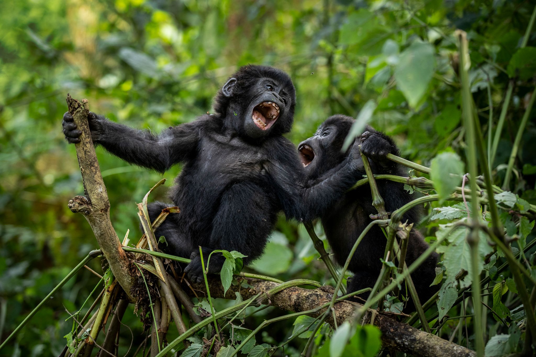 © Foto: Uncredited/AP/dpa
