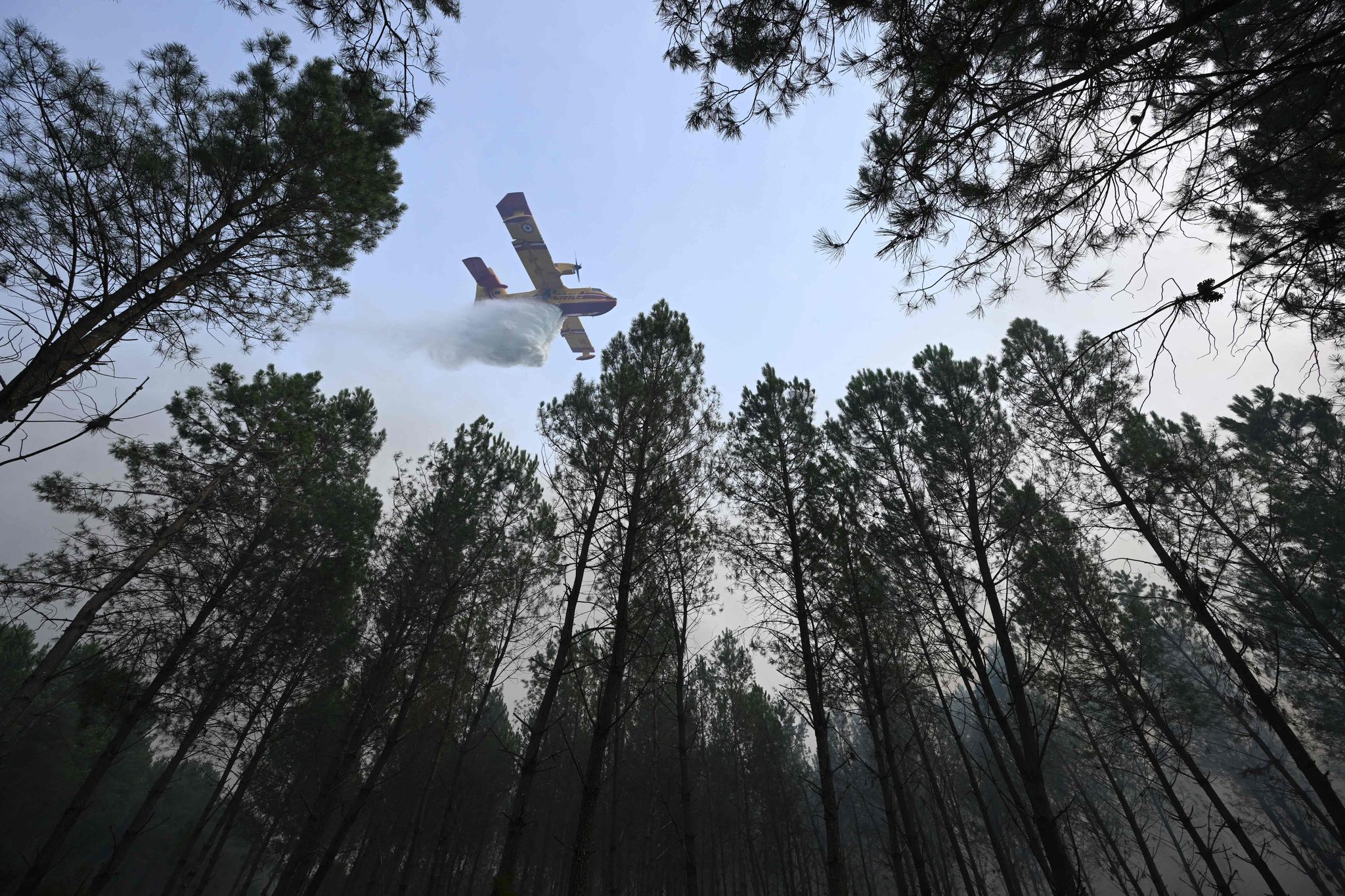 Waldbrände in Frankreich © Foto: Gaizka Iroz/AFP/dpa
